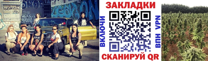 Гашиш Зеленоградск