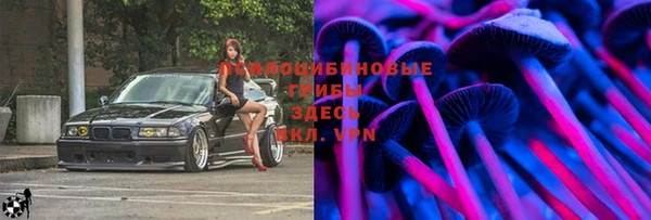 амф Гусь-Хрустальный