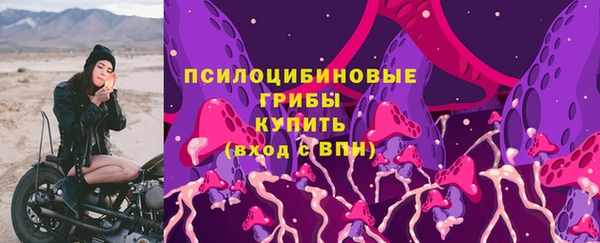 твердый Гусев