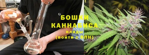 амф Гусь-Хрустальный