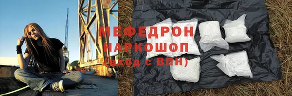 твердый Гусев