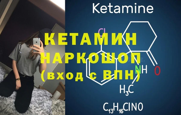 амф Гусь-Хрустальный