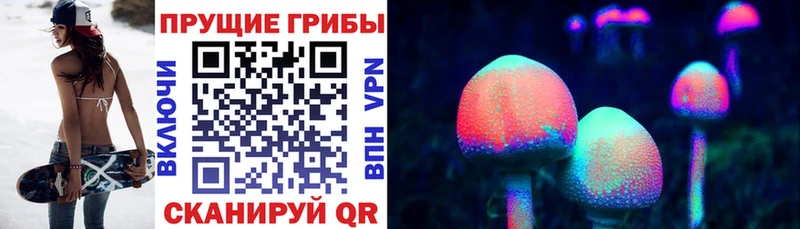 где купить наркоту  Зеленоградск  Галлюциногенные грибы Psilocybine cubensis 
